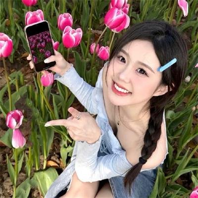牛的战争